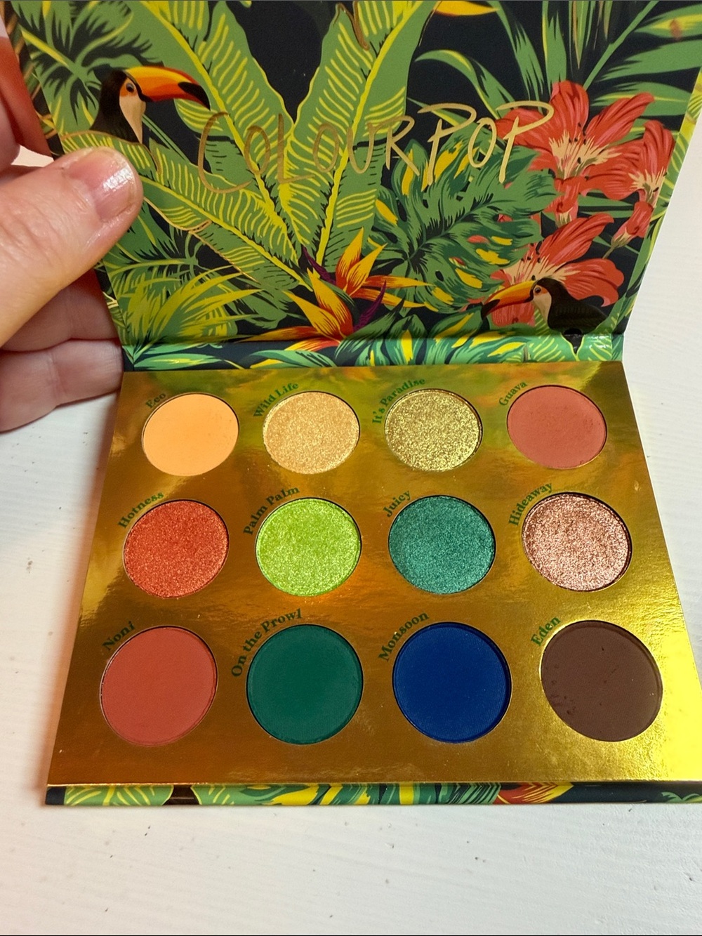 Colourpop Lush Life Palette